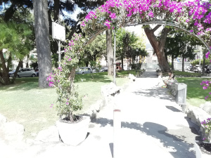 giardini di Piazza Matteotti