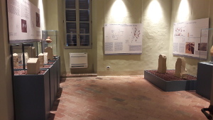 Interno Museo Archeologico di Palazzo della Rovere 3