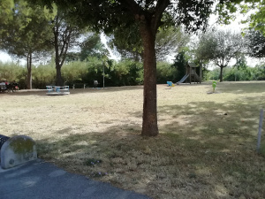Vista del parco, con alberi e panchine