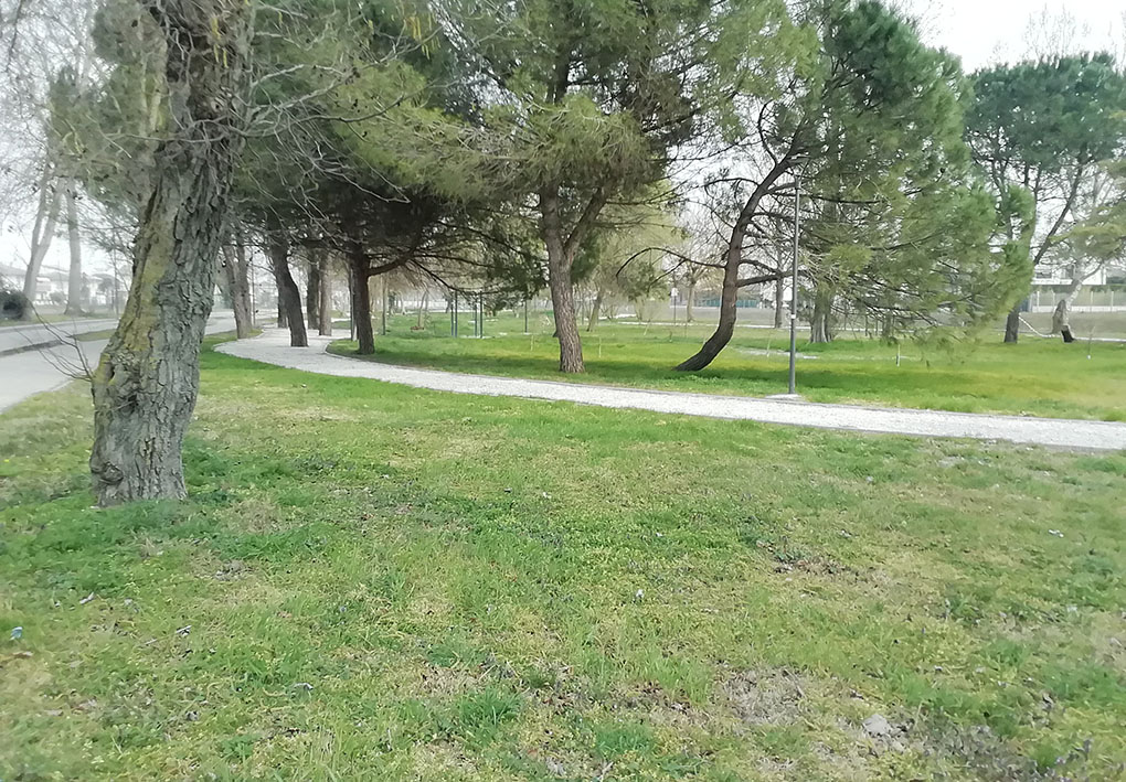 Un sentiero taglia un prato puntellato di alberi. Nella distanze si intuisce la presenza di campi da gioco.
